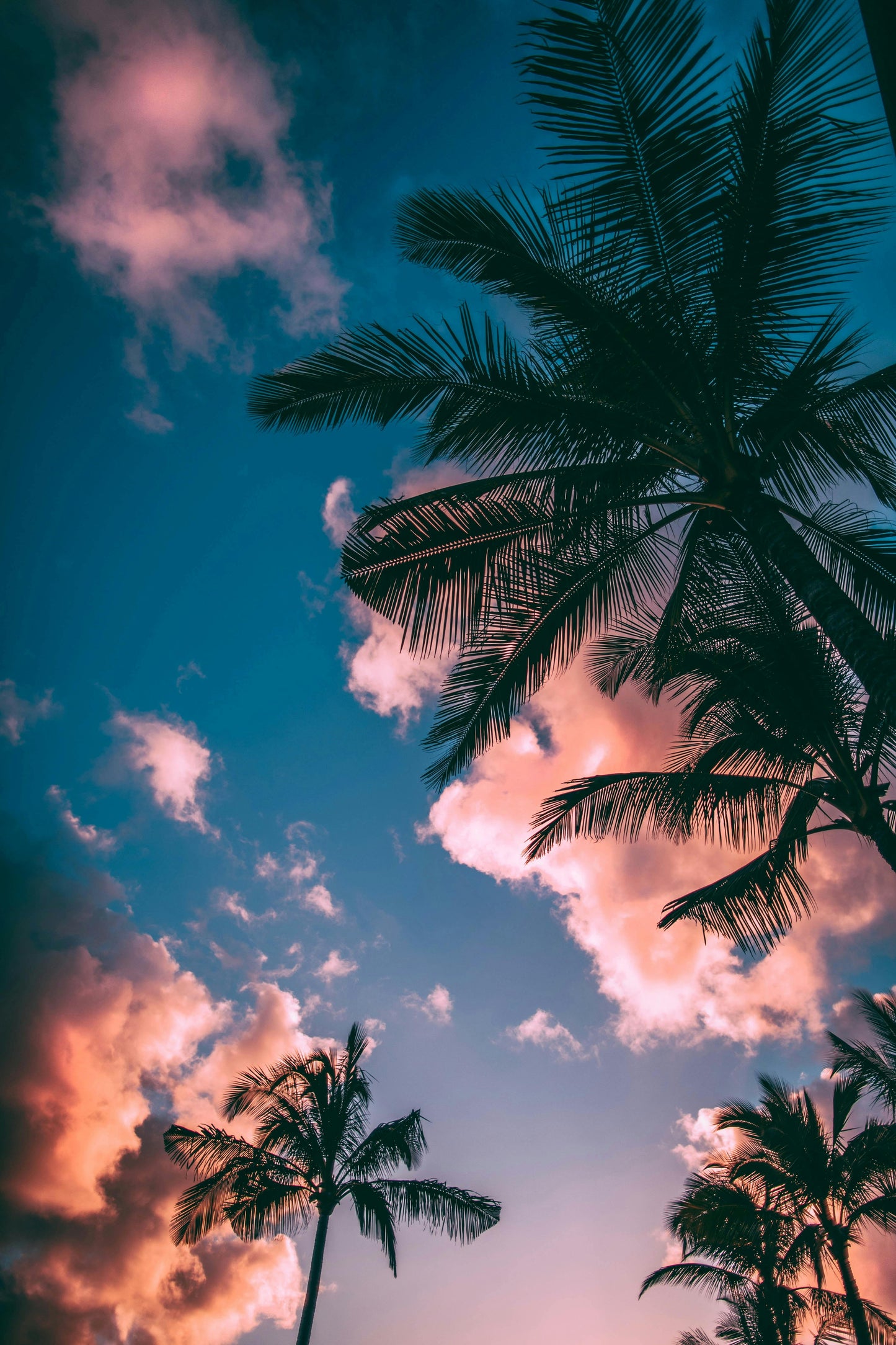 Wallpapers